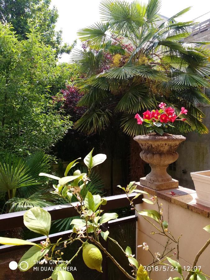 Appartement Charmant A Alfortville 30M² Terrasse Et Jardin Eksteriør billede